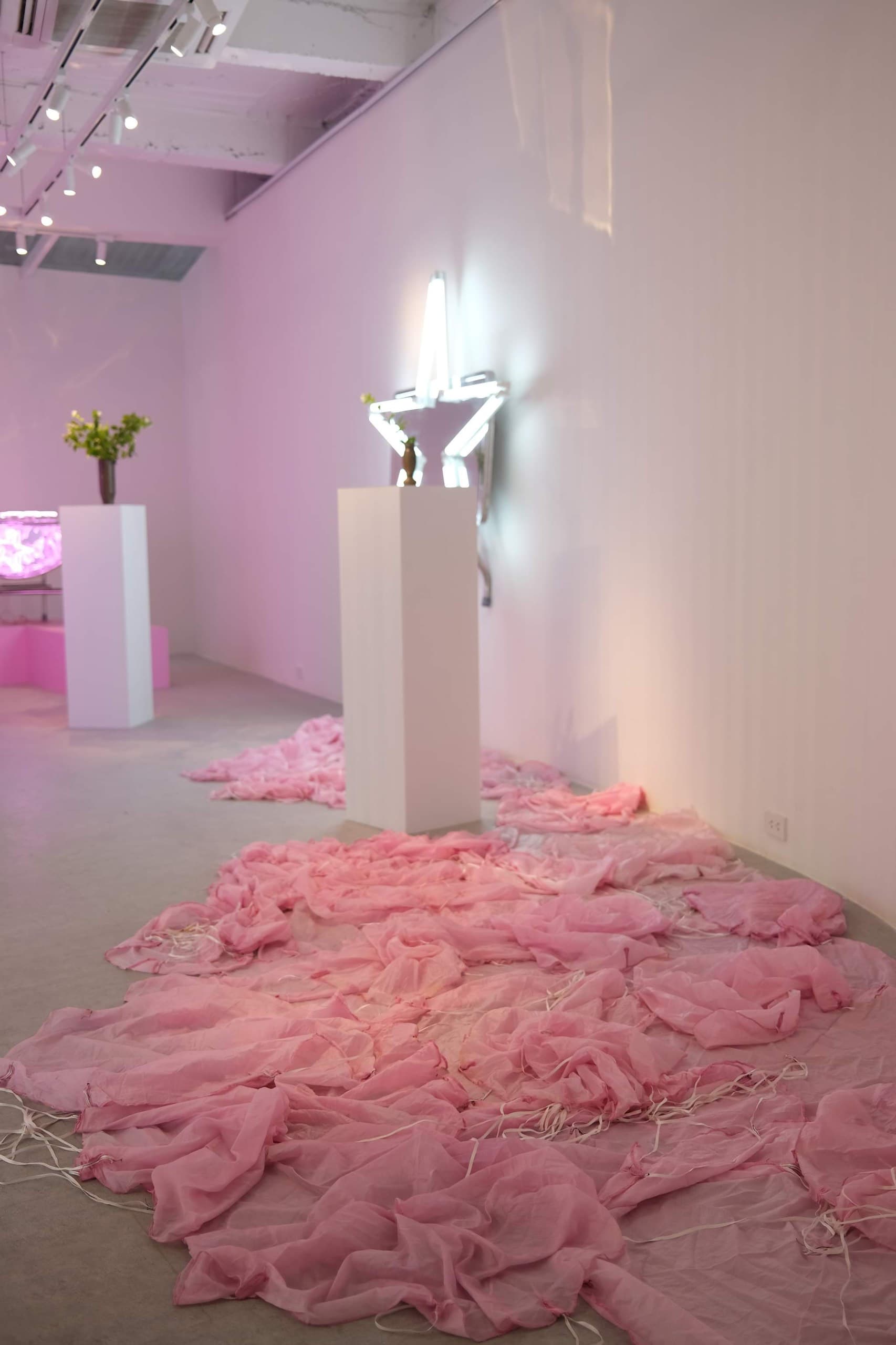 Untitled (Pink flowers blossom here there and everywhere every past and upcoming springtime) | 2019 