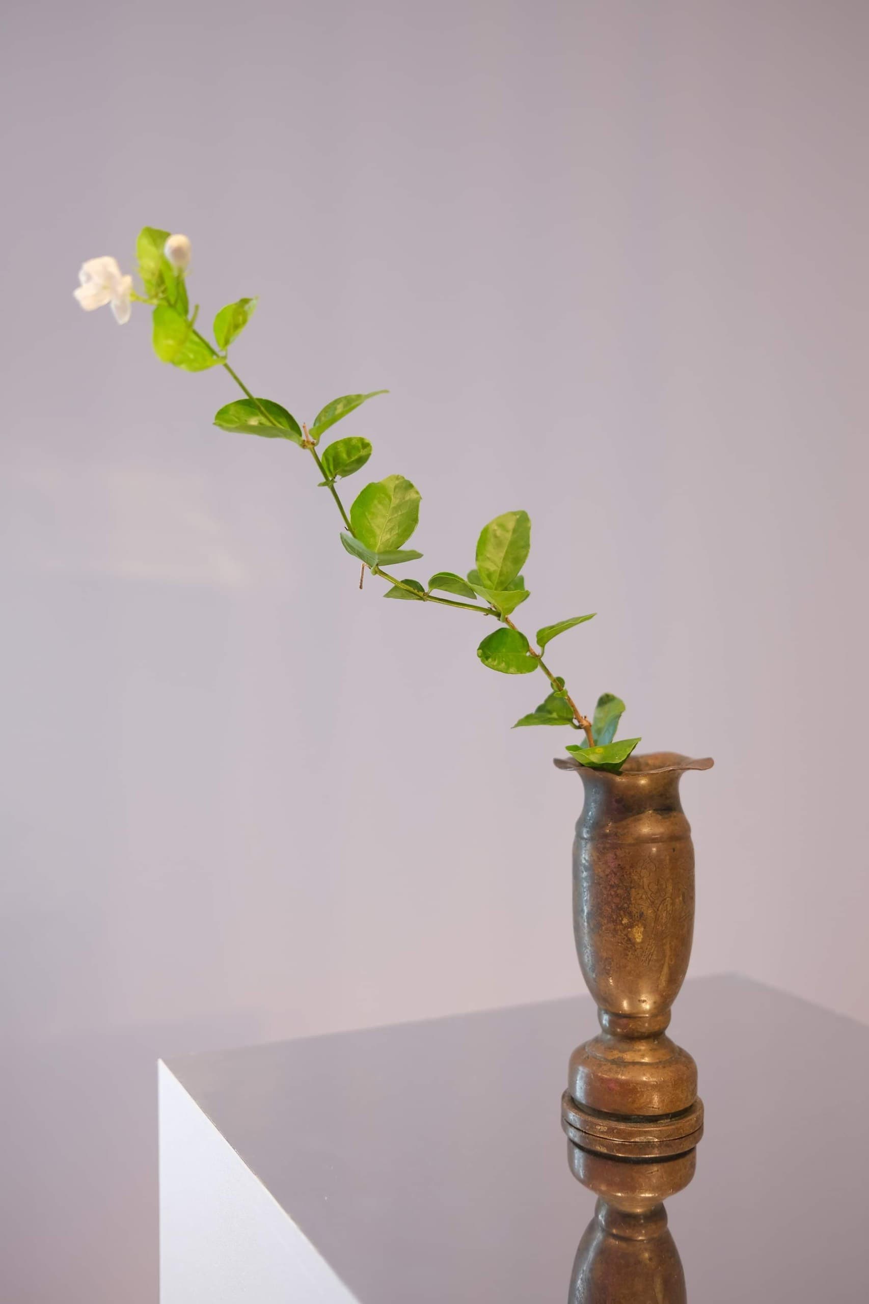 Unnamed (Tomorrow Flowers) | 2023 