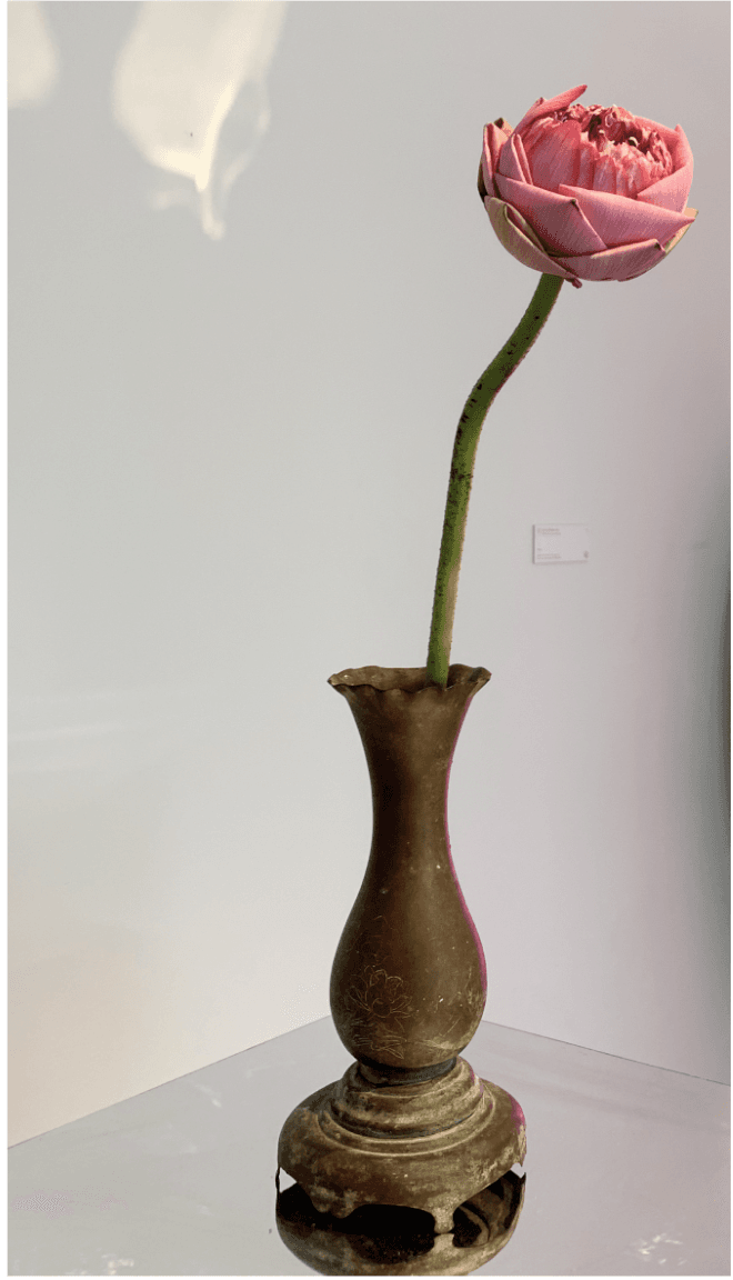 Unnamed (Revival Lotuses) | 2023 