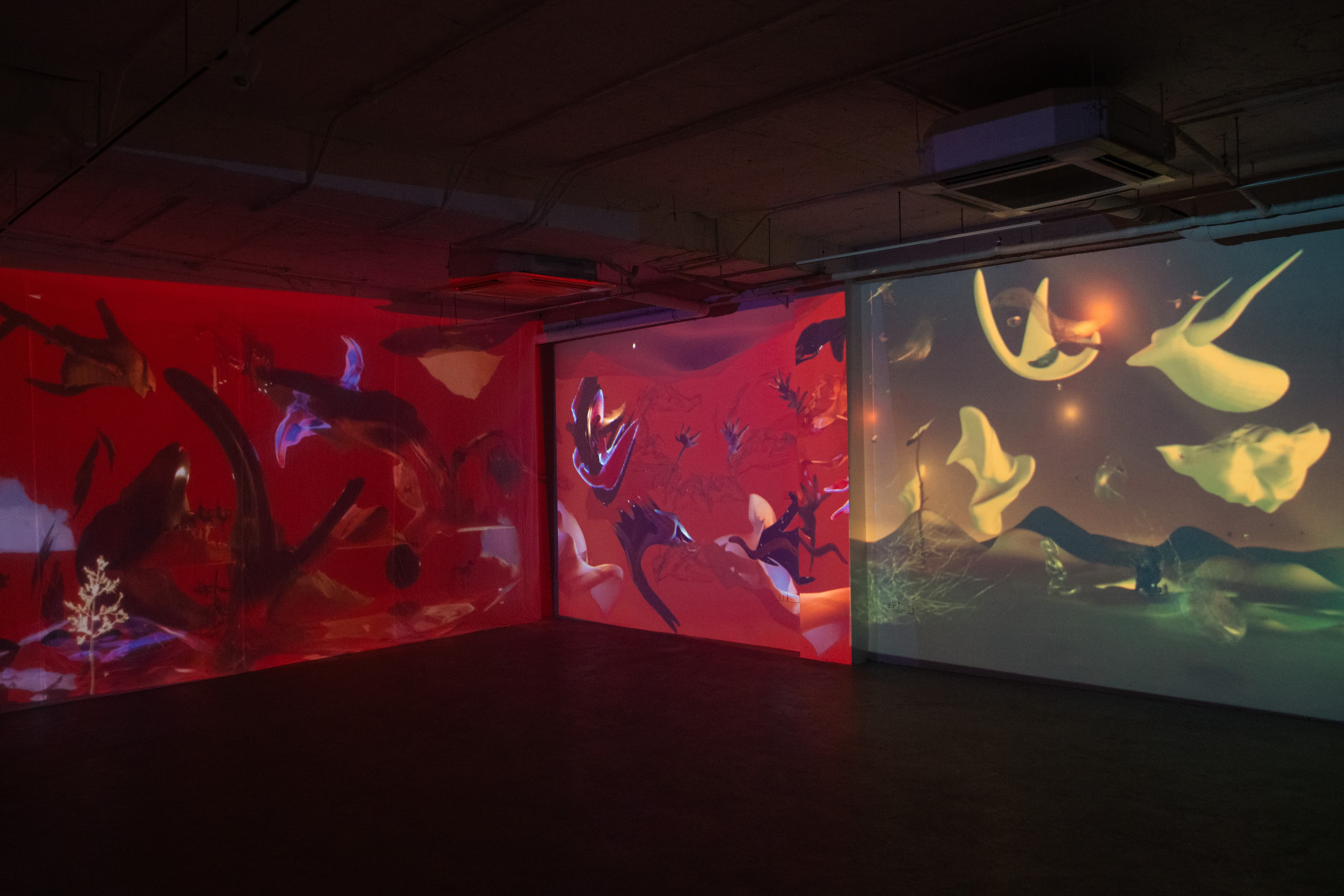 Installation view