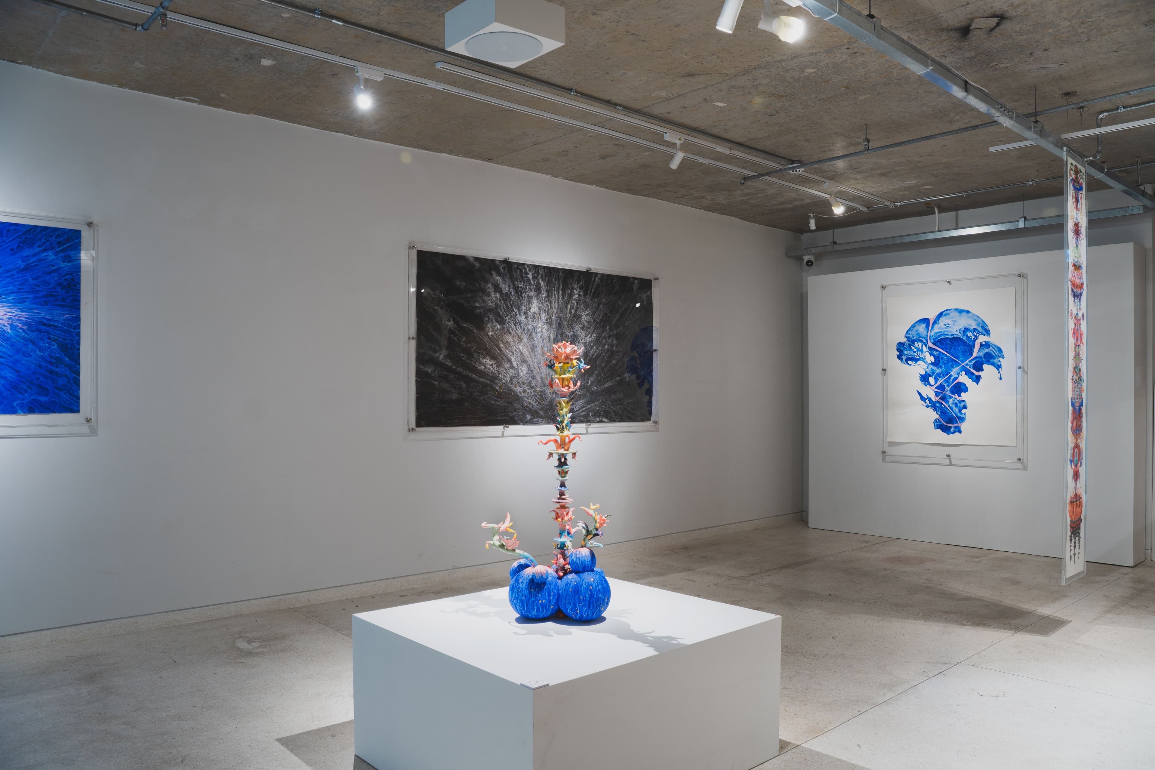 Installation view