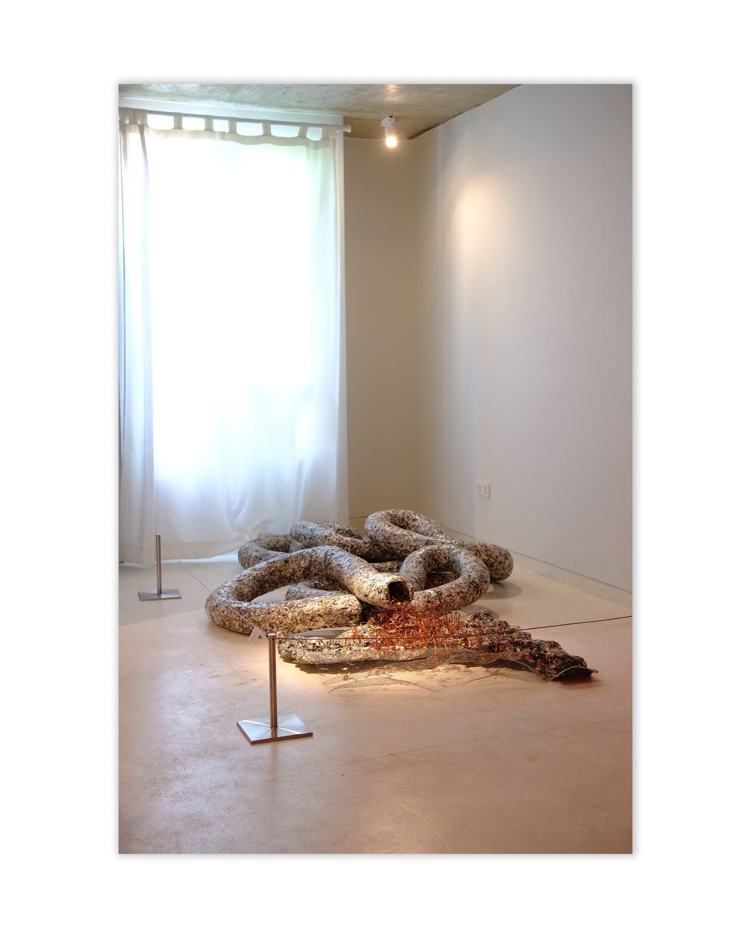 Hệ Tiêu Hóa Đô Thị